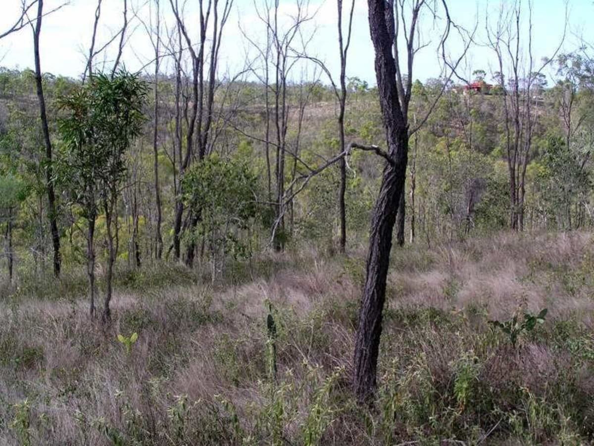 726 Aremby Road, BOULDERCOMBE QLD, Bouldercombe - Thumbnail 3