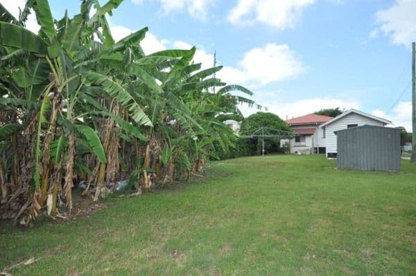 145 Main Avenue, WAVELL HEIGHTS QLD 4012, Wavell Heights - Thumbnail 3