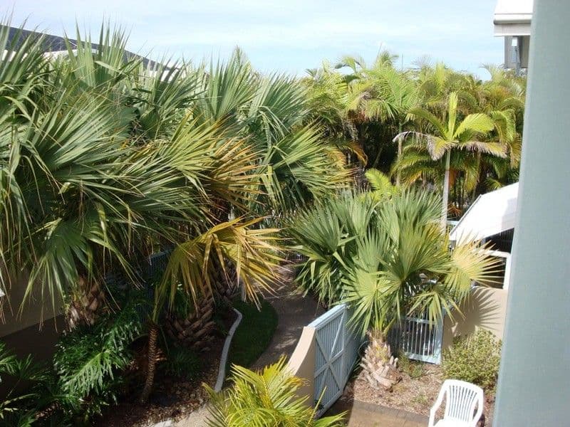 MERMAID BEACH QLD 4218, Mermaid Beach - Thumbnail 5