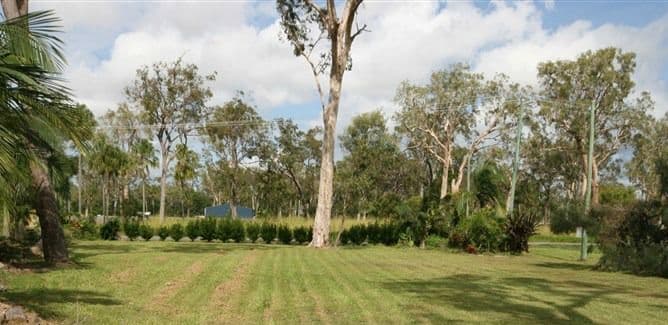 10 Coral Reef Court, Armstrong Beach QLD 4737, Armstrong Beach - Thumbnail 3