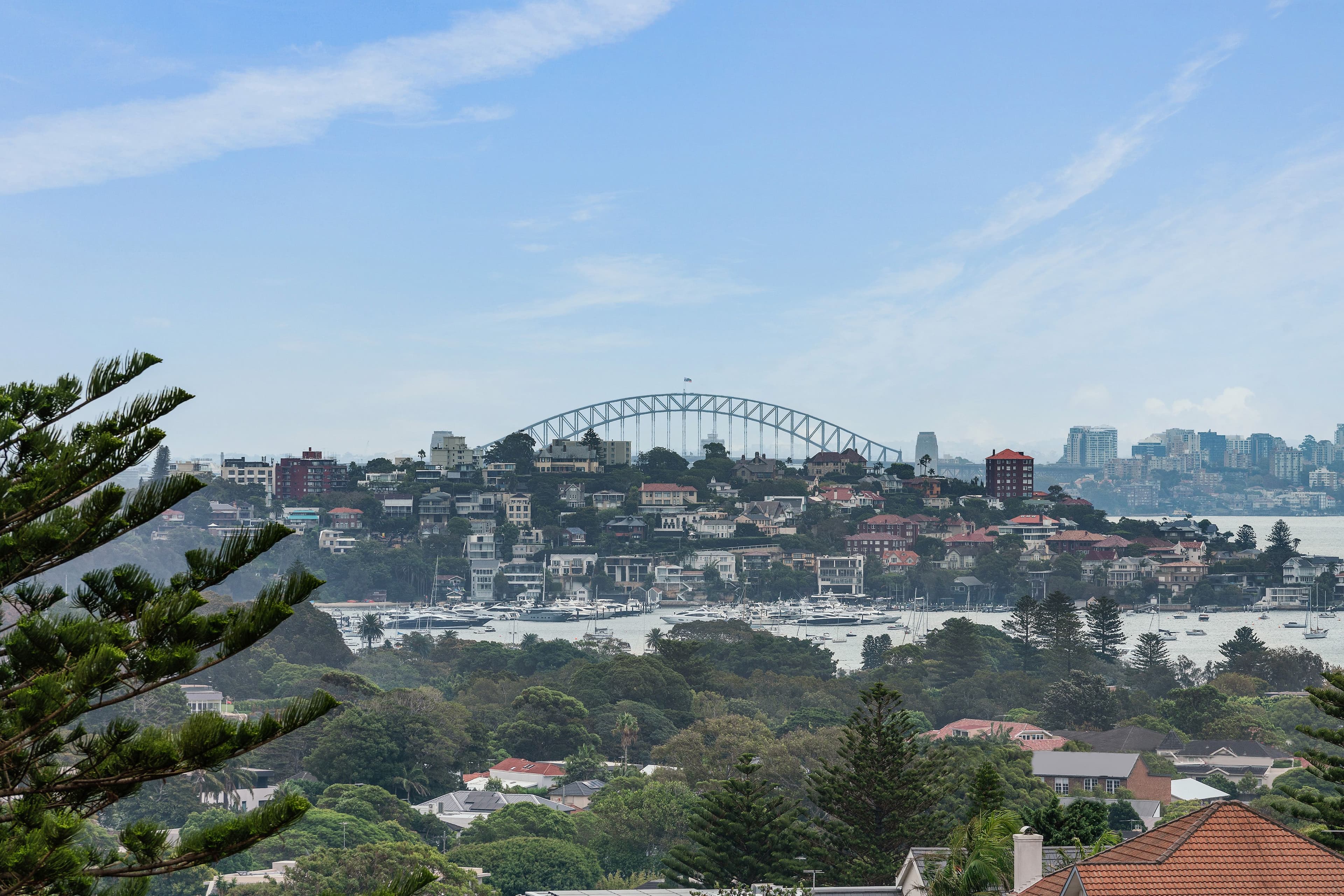 73 Hardy Street, Dover Heights NSW 2030, Dover Heights - Thumbnail 6