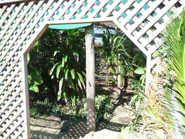 488 Alderley Street, HARRISTOWN QLD 4350, Harristown - Thumbnail 4