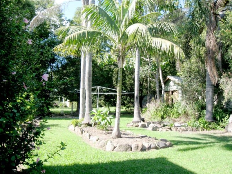 10 Surfside Avenue, MOSSY POINT NSW 2537, Mossy Point - Thumbnail 7