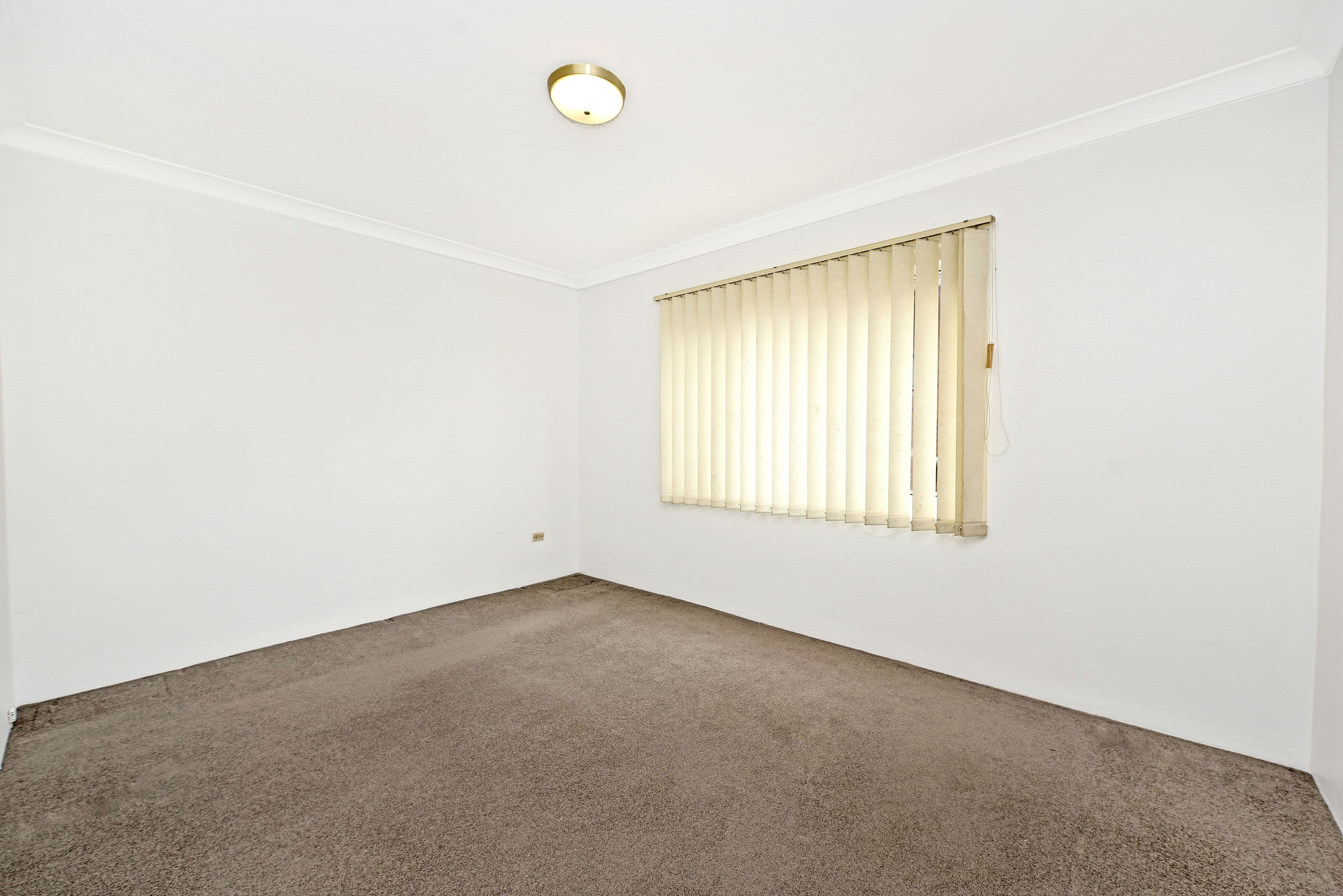 14 Bellevue Street, Maroubra NSW 2035, Maroubra - Thumbnail 7