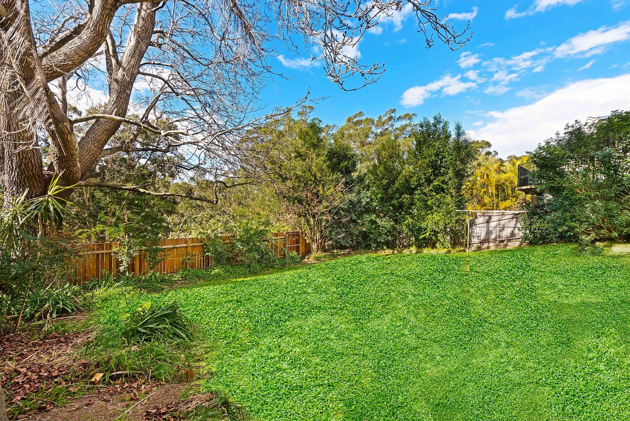 41 Melba Drive, East Ryde - Thumbnail 8