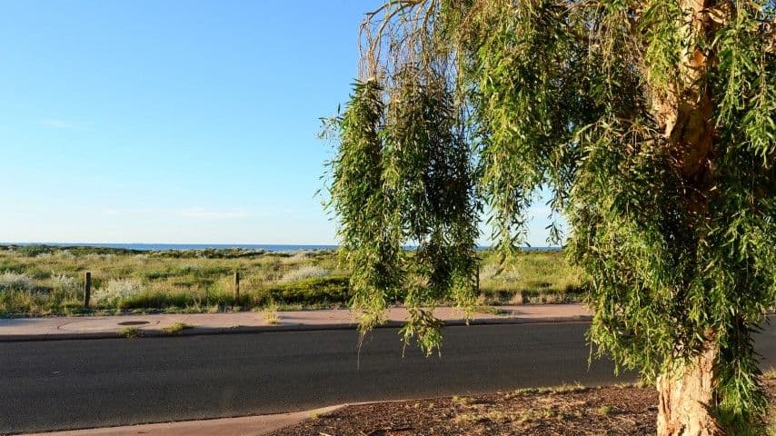 28 Dempster Street, Port Hedland WA 6721, Port Hedland - Thumbnail 4