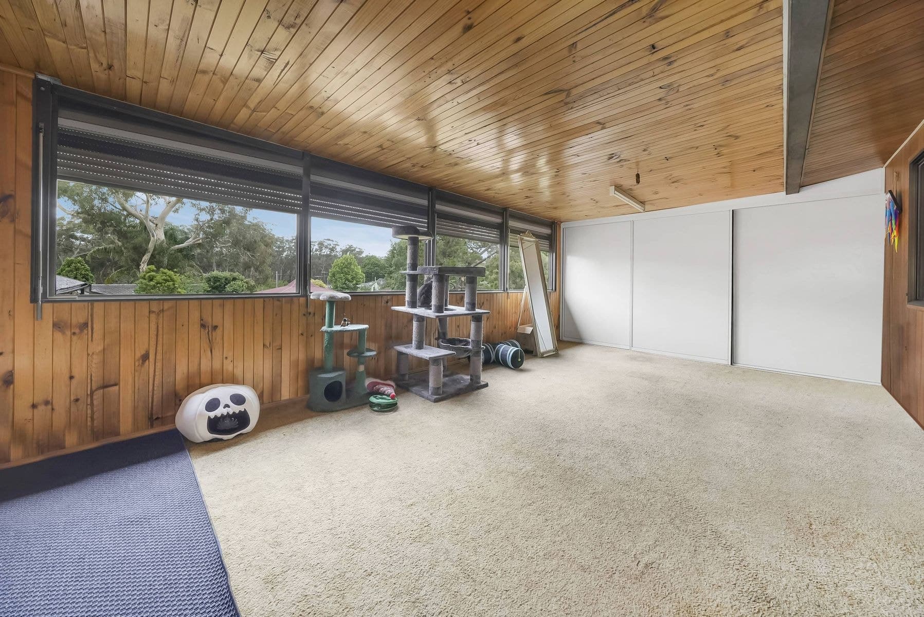 30 Carrington Circuit, Leumeah NSW 2560, Leumeah - Thumbnail 6