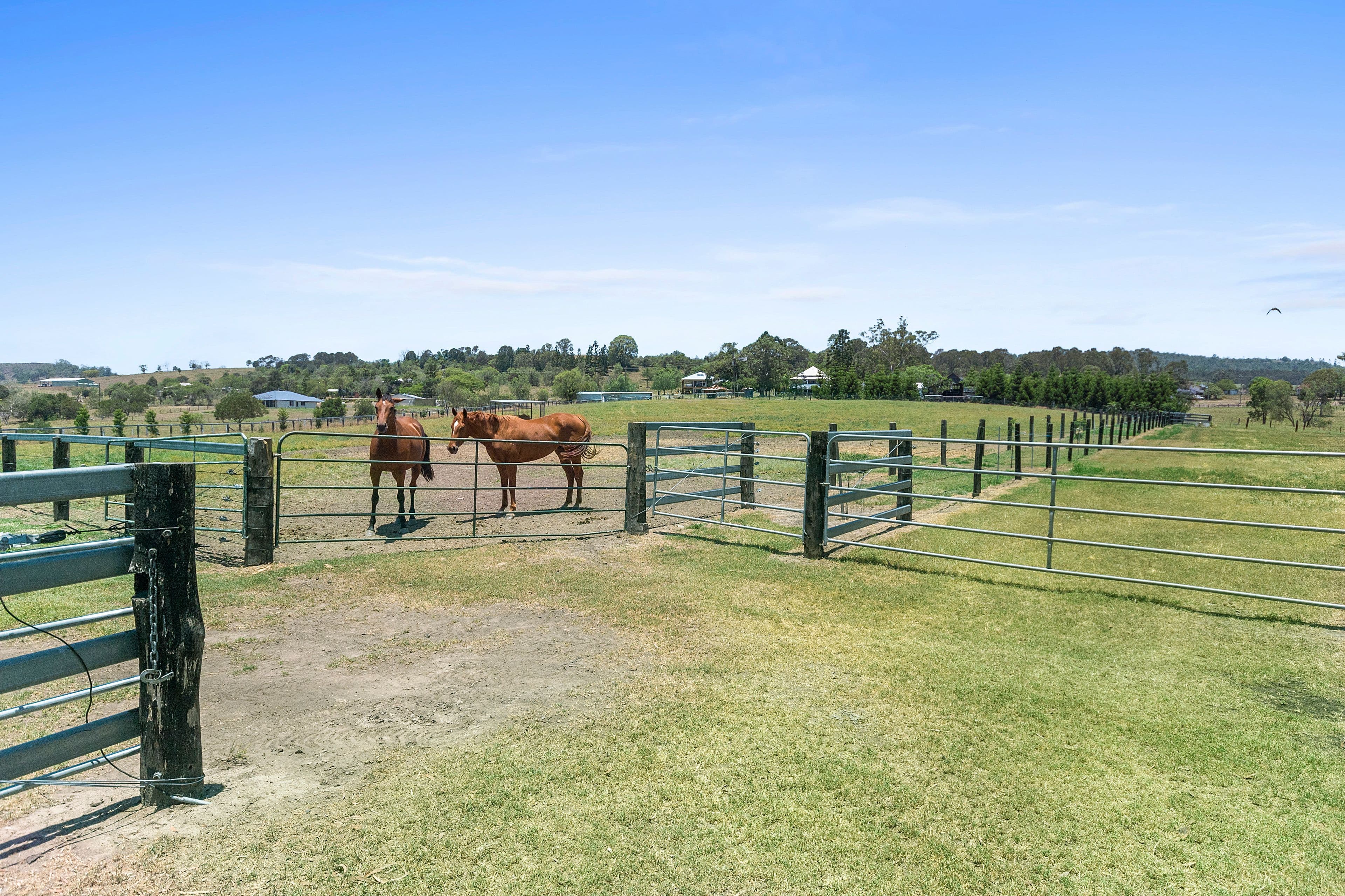 51-125 Marburg Quarry Road, Marburg QLD 4346, Marburg - Image 1
