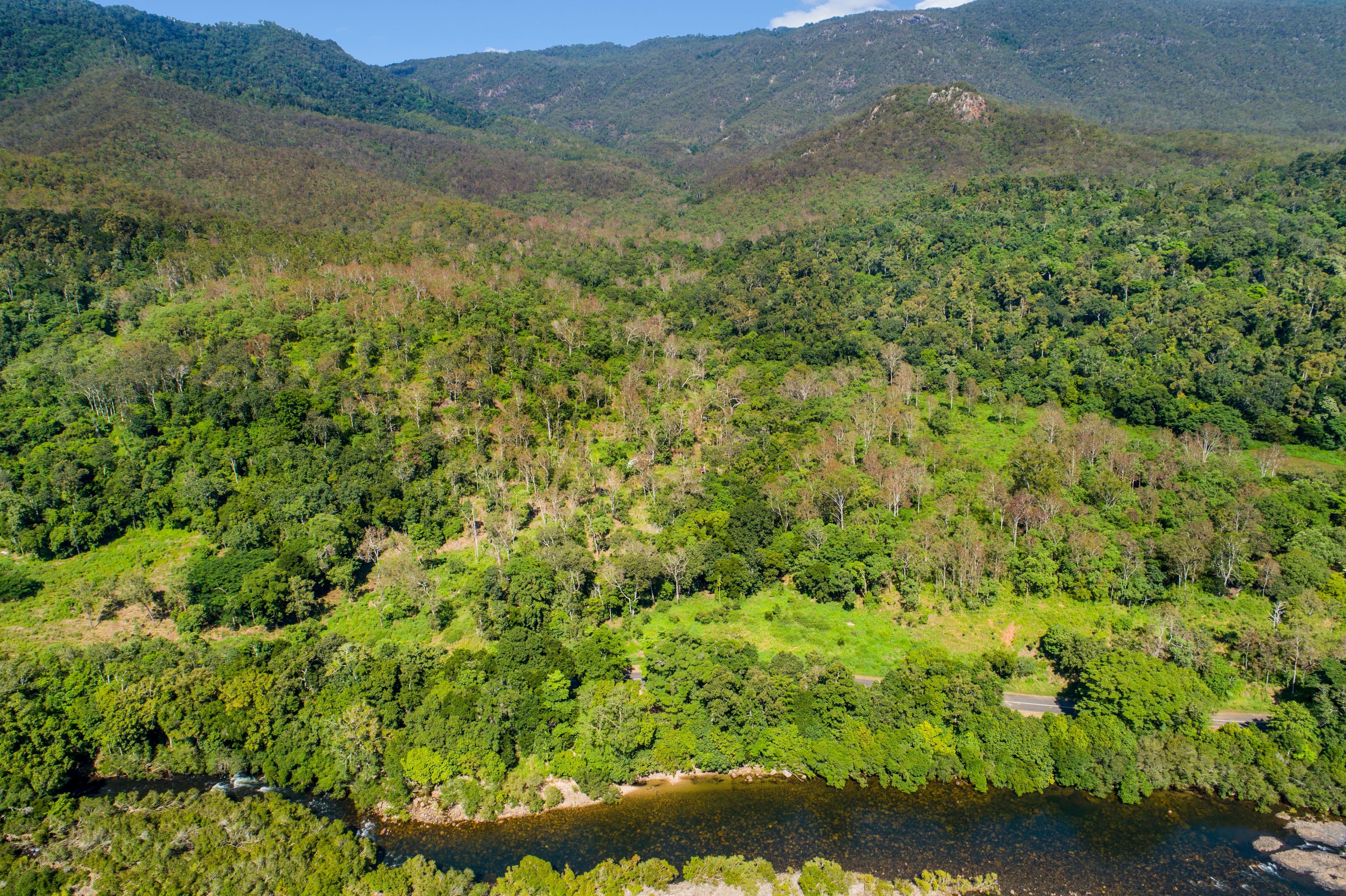 874 Goldsborough Road, Goldsborough QLD 4865, Goldsborough - Thumbnail 2