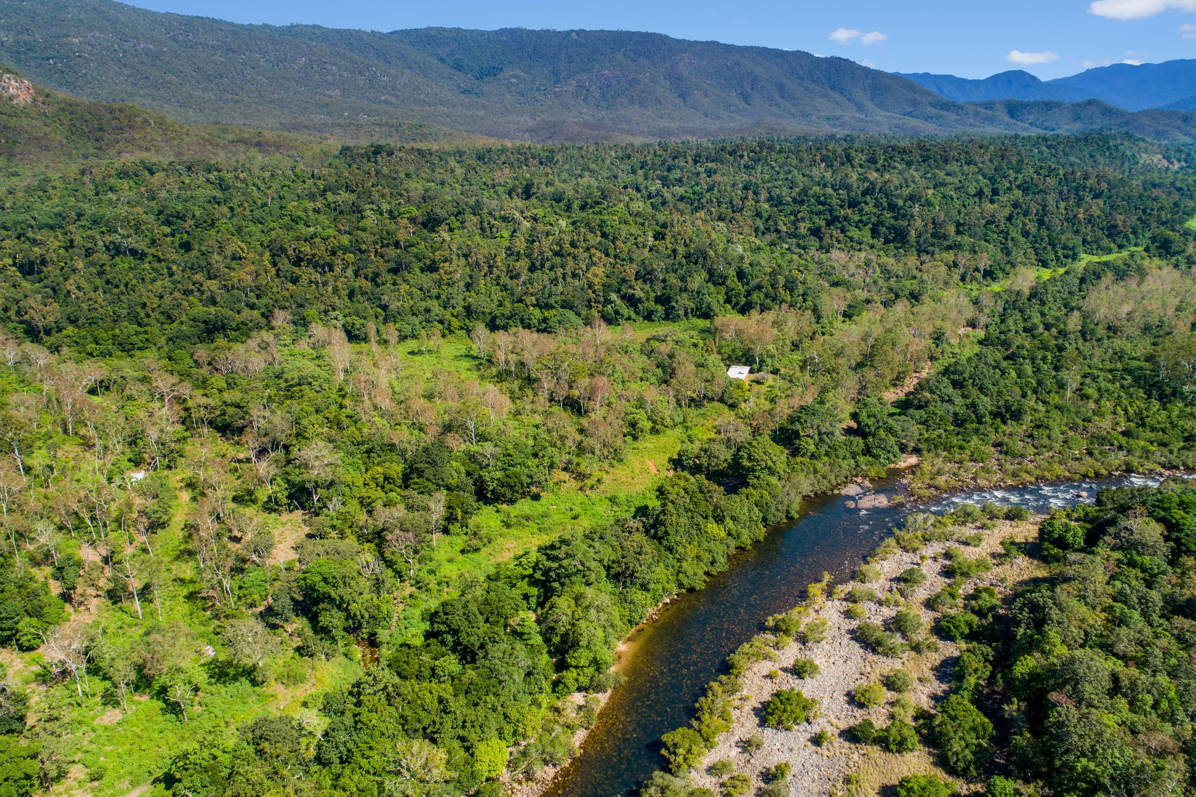 874 Goldsborough Road, Goldsborough QLD 4865, Goldsborough - Thumbnail 6