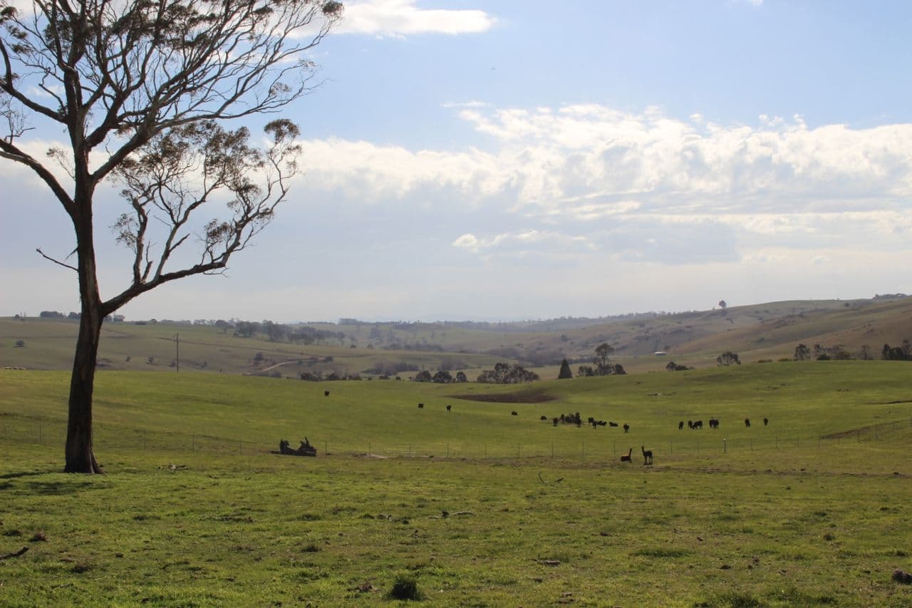 Lot 207 Browns Creek Road, Blayney NSW 2799, Blayney - Image 1