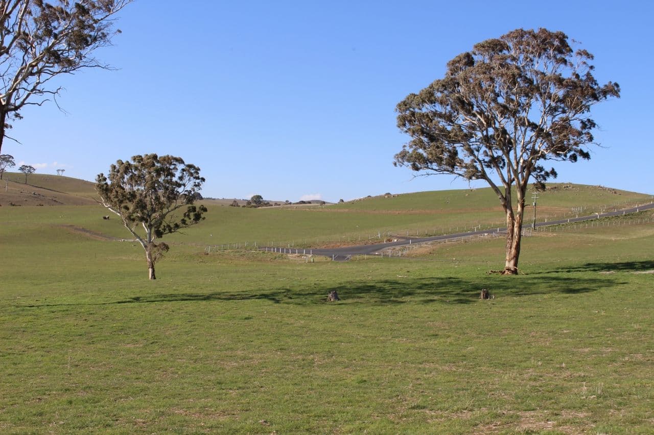 Lot 207 Browns Creek Road, Blayney NSW 2799, Blayney - Thumbnail 2