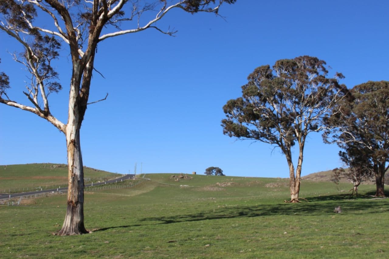 Lot 207 Browns Creek Road, Blayney NSW 2799, Blayney - Thumbnail 3