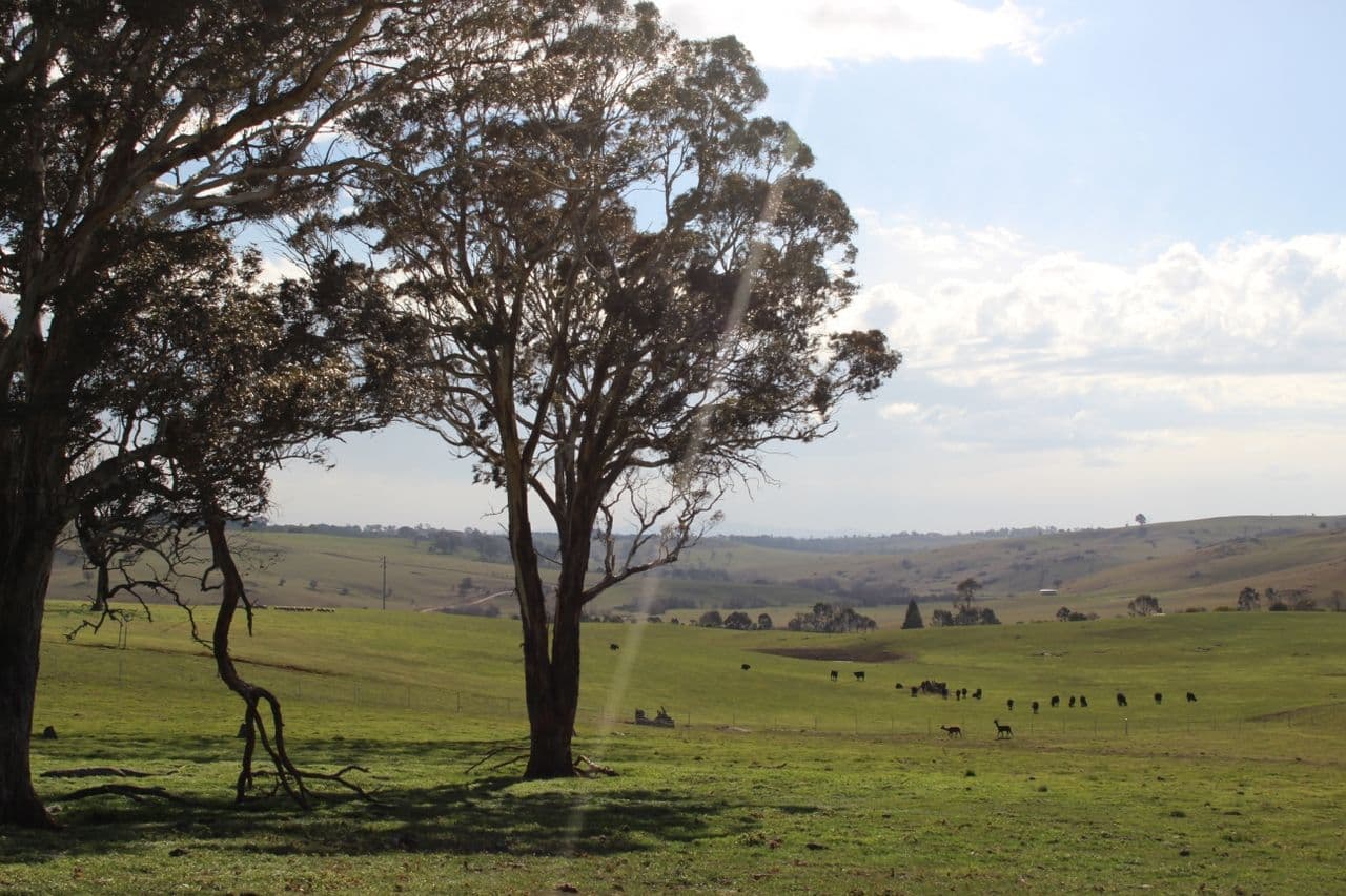 Lot 207 Browns Creek Road, Blayney NSW 2799, Blayney - Thumbnail 4