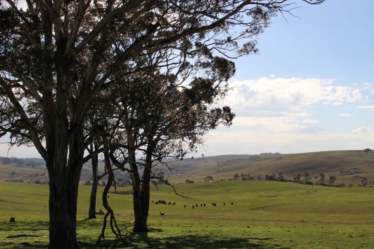 Lot 207 Browns Creek Road, Blayney NSW 2799, Blayney - Thumbnail 5