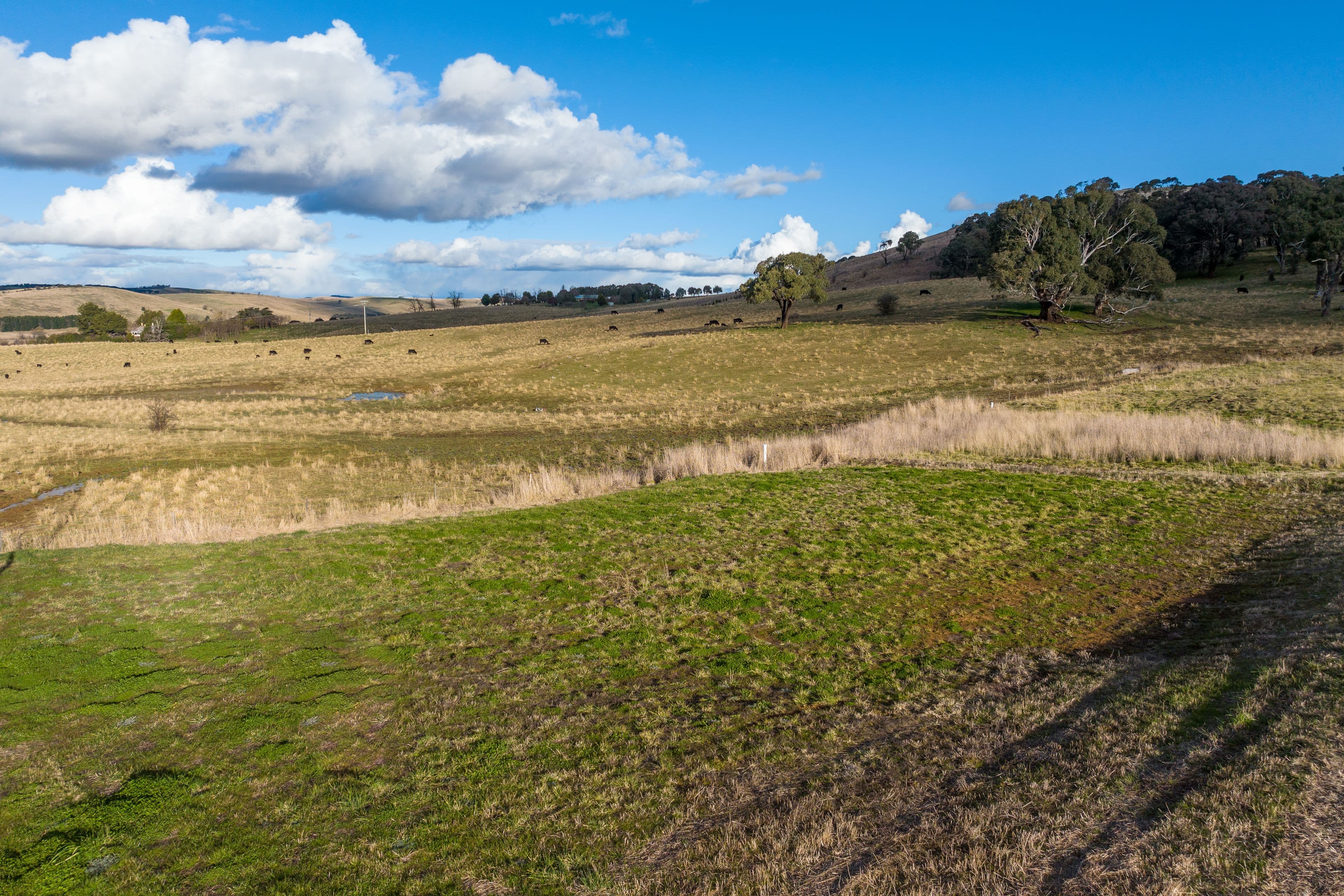 26 Castle Vista Way, Blayney NSW 2799, Blayney - Thumbnail 6