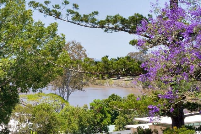 33 Volga Crescent, Indooroopilly QLD 4068, Indooroopilly - Thumbnail 2