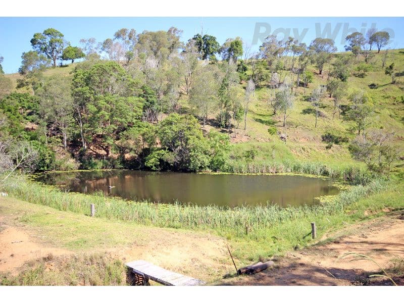 263 Basin Road, Wamuran Basin QLD 4512, Wamuran Basin - Thumbnail 3