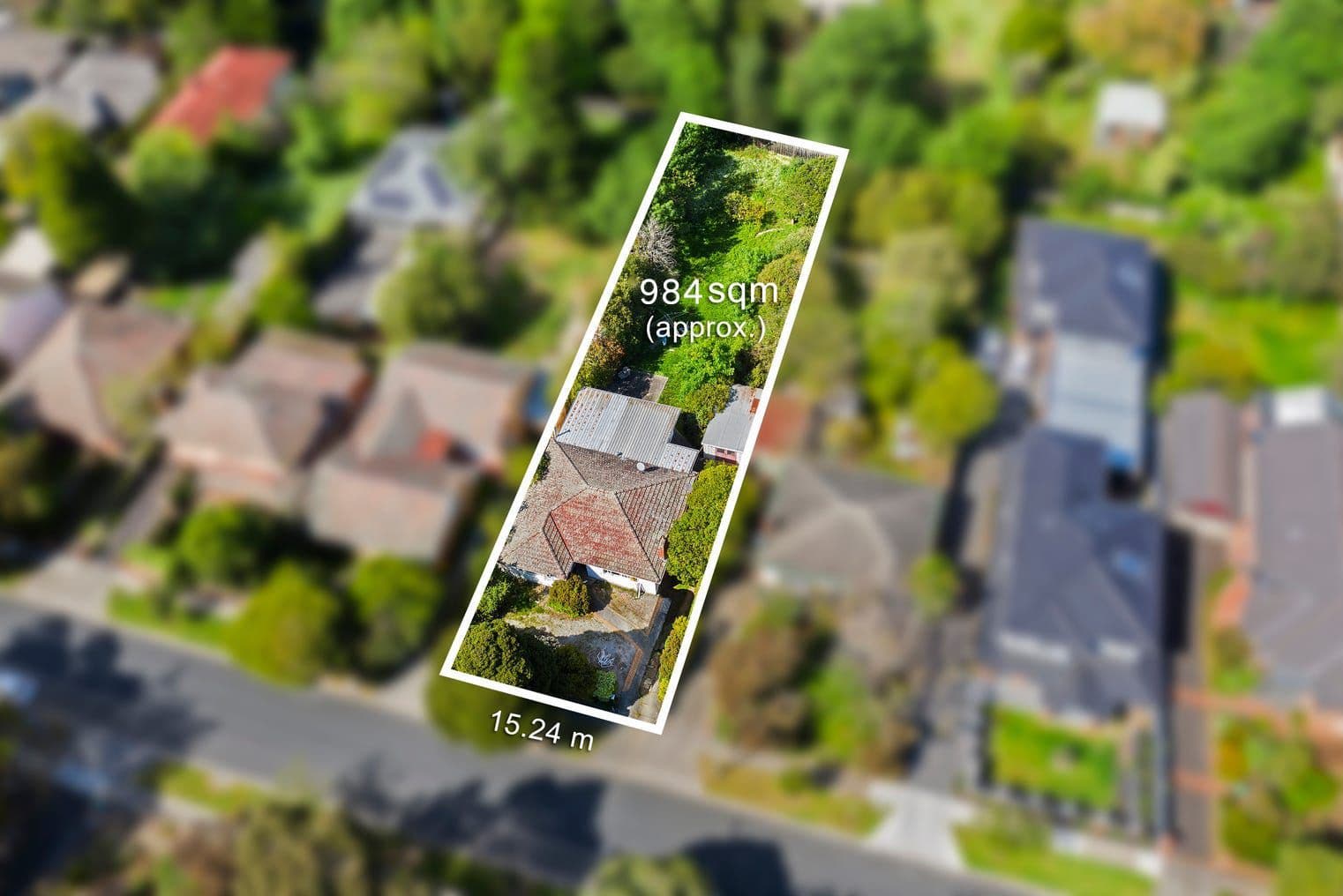 34 Melrose Street, Mont Albert North VIC 3129, Mont Albert North - Image 1