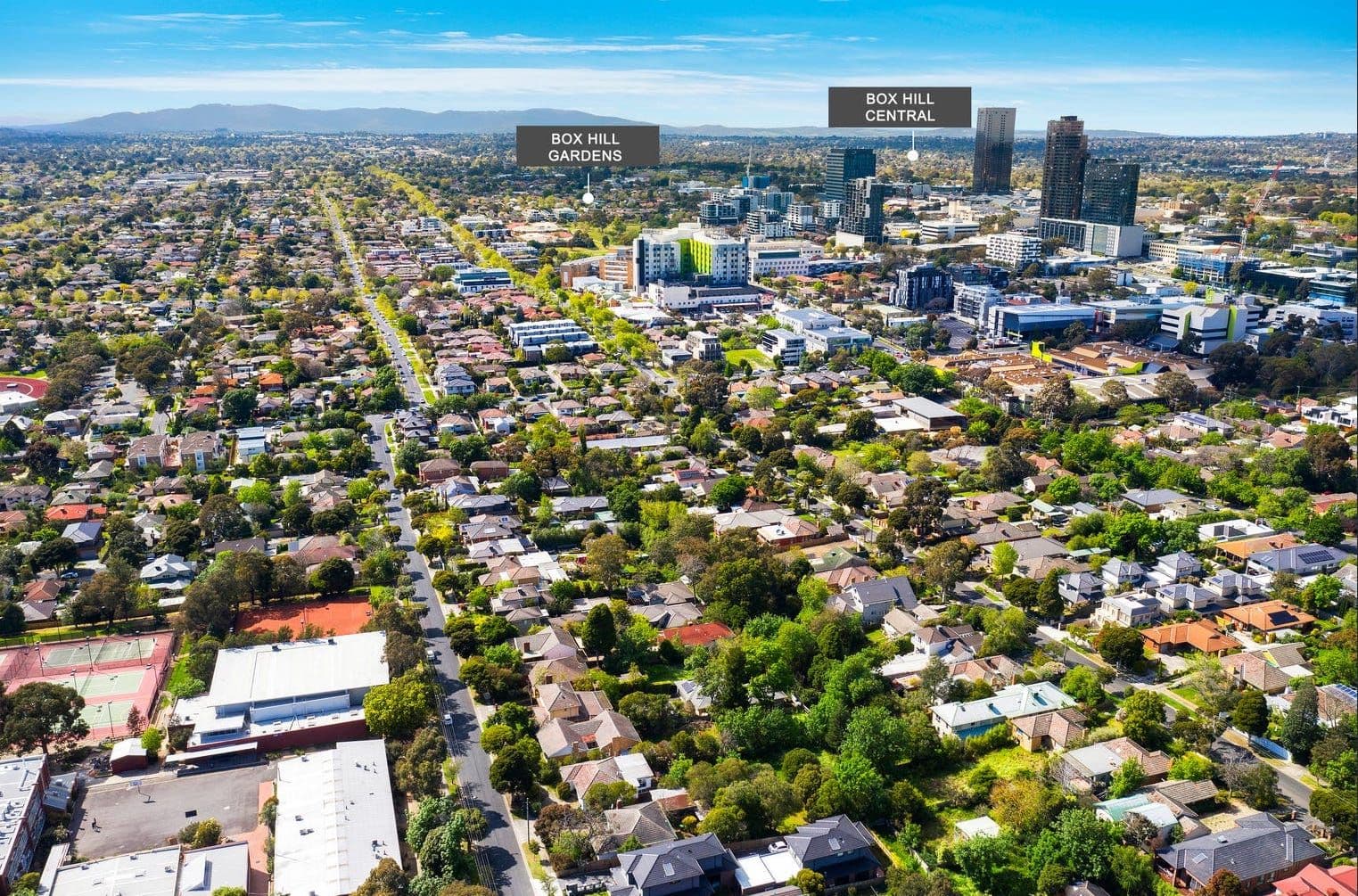 34 Melrose Street, Mont Albert North VIC 3129, Mont Albert North - Thumbnail 2