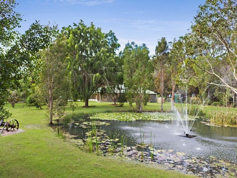 131 Warriewood Street, Chandler QLD 4155, Chandler - Thumbnail 2