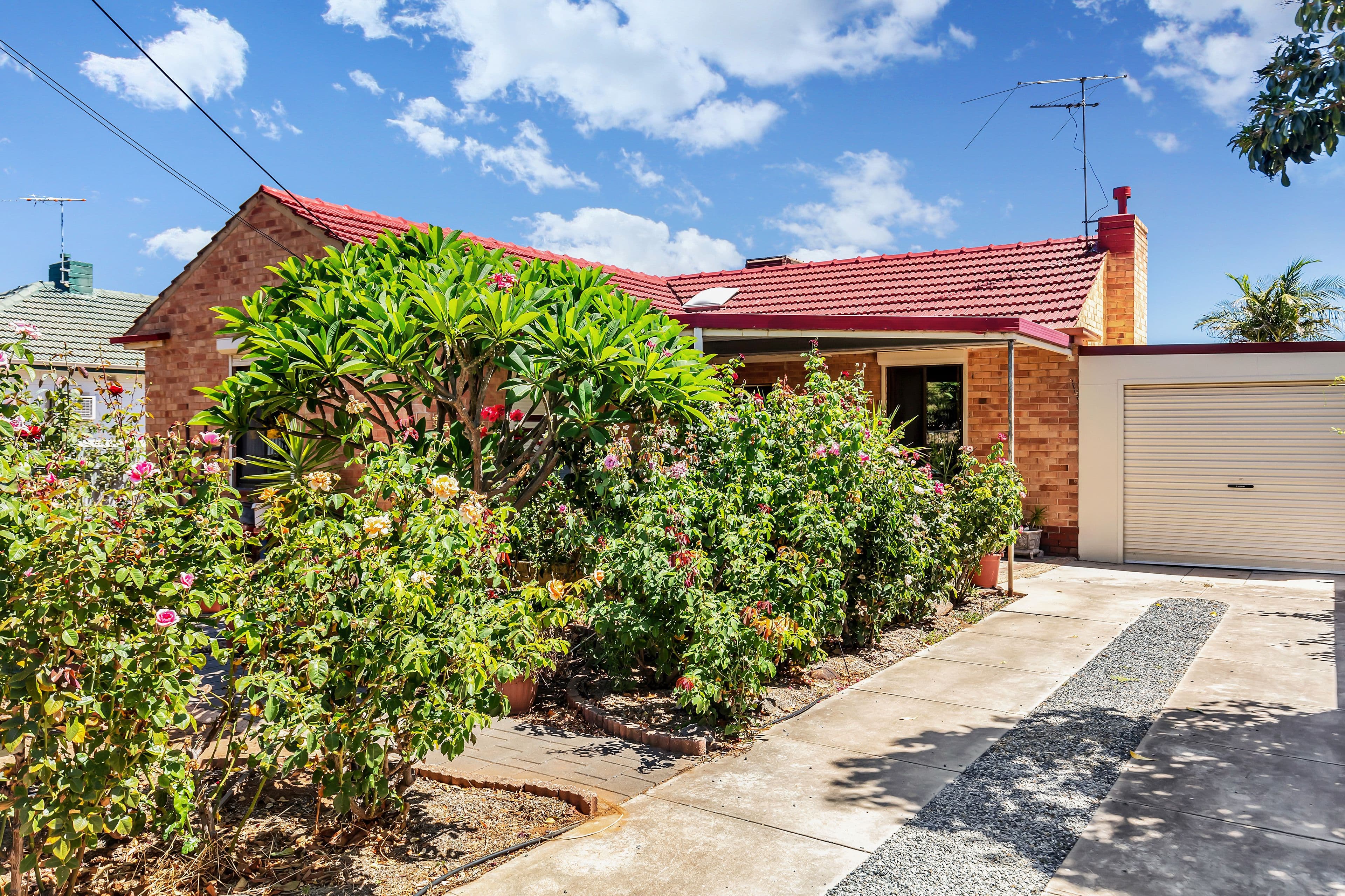 55 West Avenue, Northfield SA 5085, Northfield - Thumbnail 2
