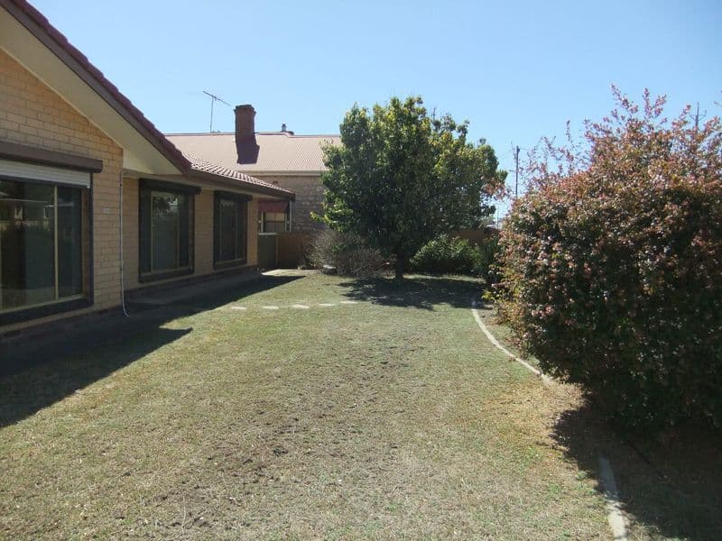 50 Warooka Road, Yorketown SA 5576, Yorketown - Thumbnail 4