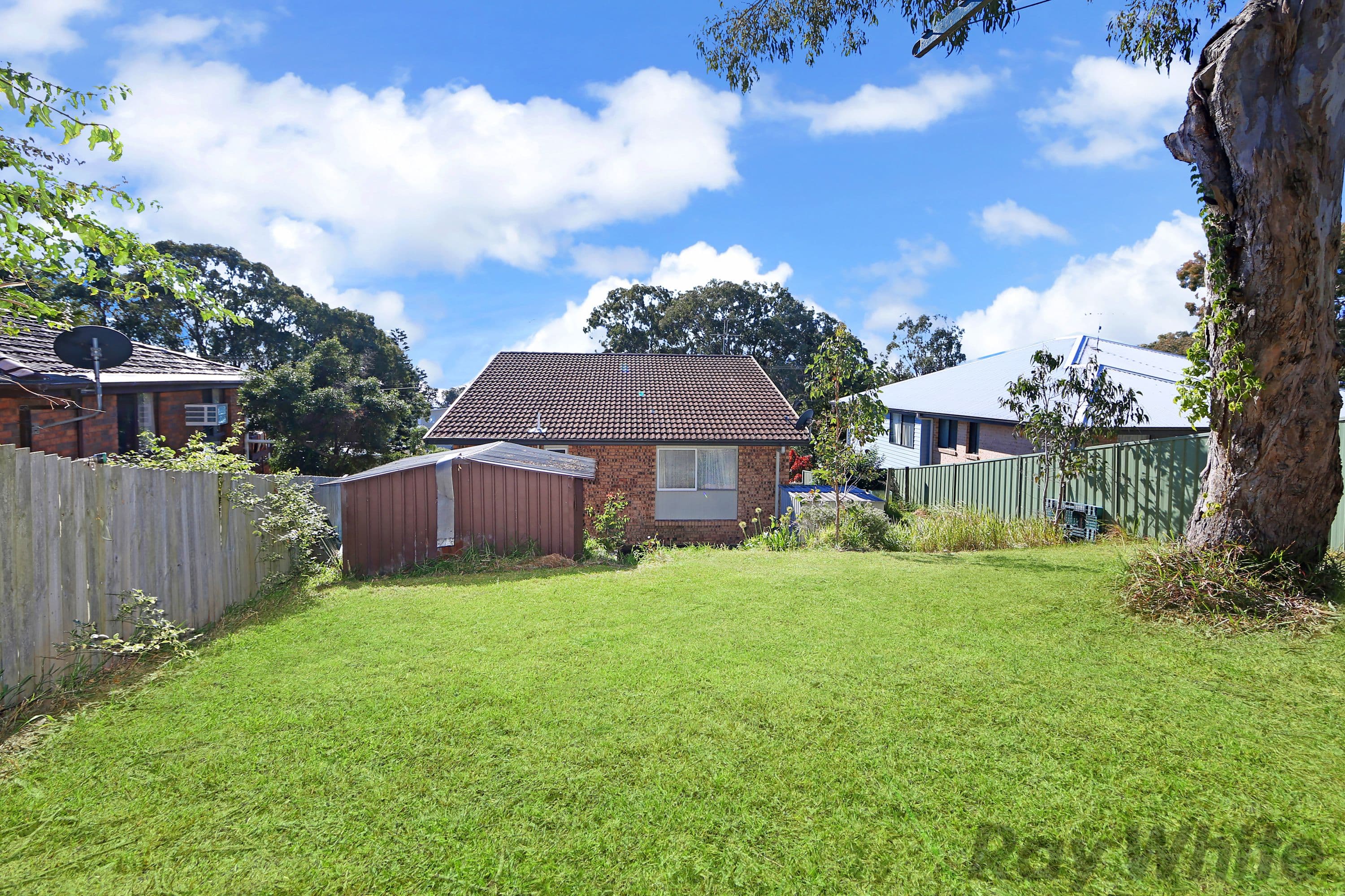 18 Scenic Drive, Budgewoi - Thumbnail 8