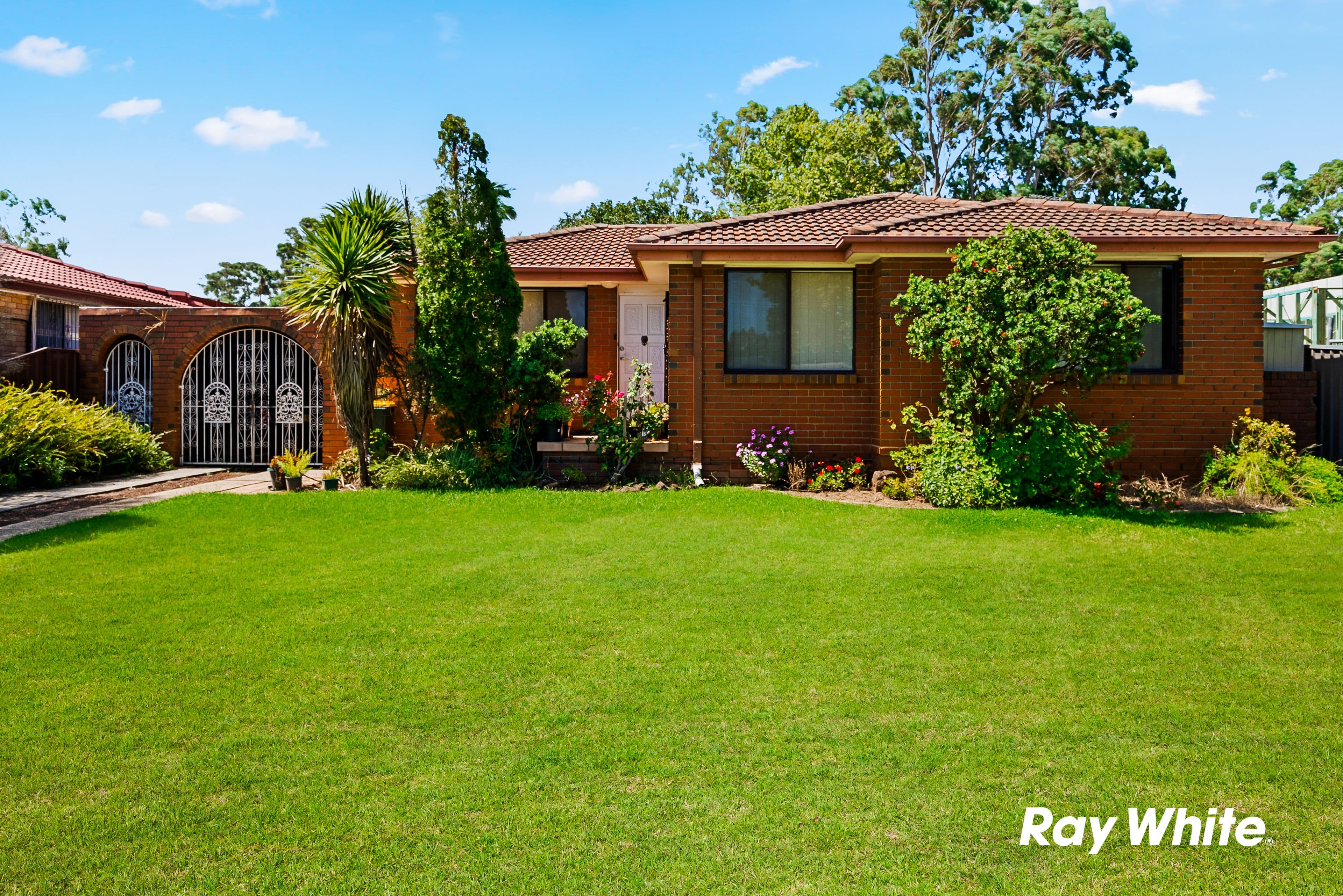 81 Tichborne Drive, Quakers Hill NSW 2763, Quakers Hill - Image 1