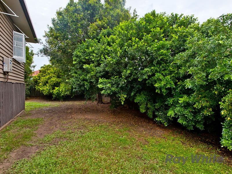 31 Oates Parade, Northgate QLD 4013, Northgate - Thumbnail 2