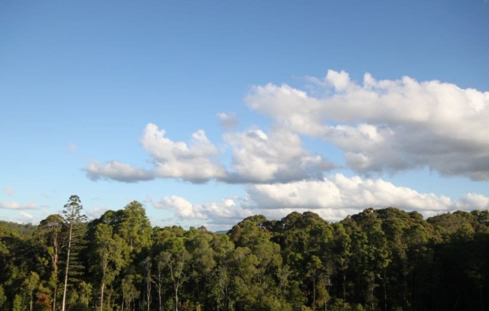 Lot 30 Brushbox Place, Verandah Estate, EUMUNDI QLD 4562, Eumundi - Thumbnail 4