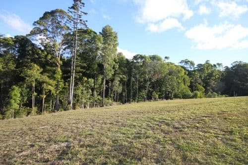 Lot 30 Brushbox Place, Verandah Estate, EUMUNDI QLD 4562, Eumundi - Thumbnail 6