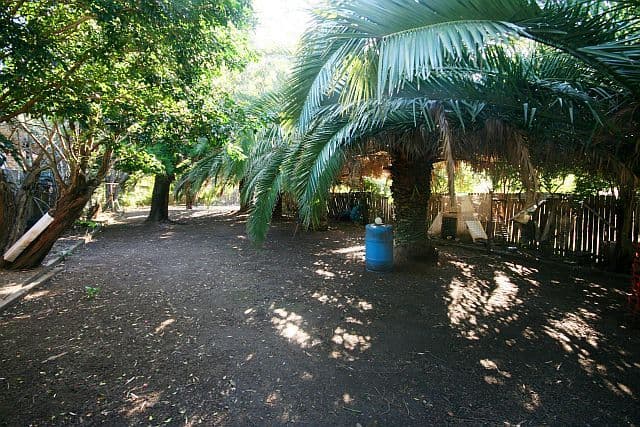 72 The River Road, REVESBY NSW 2212, Revesby - Thumbnail 5