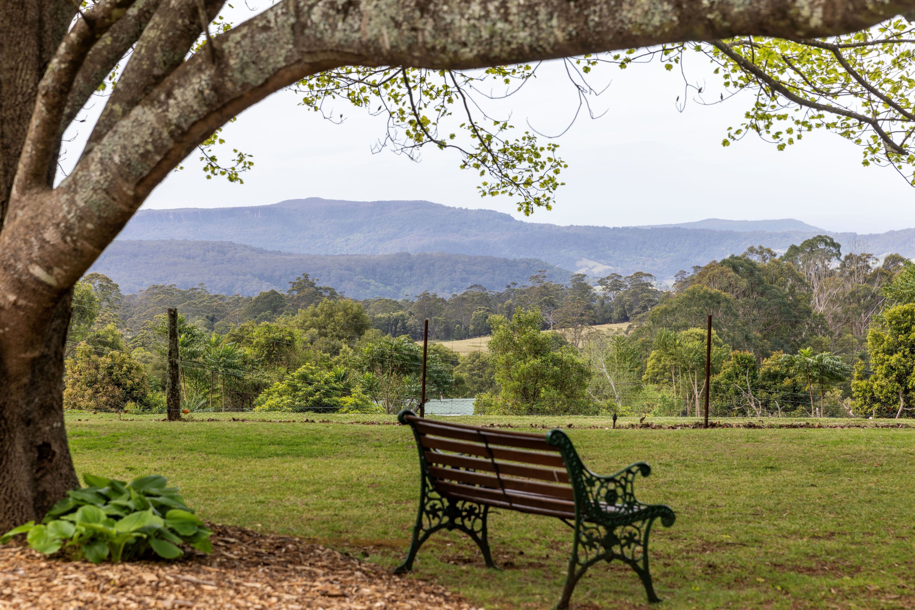 778A Kangaroo Valley Road, Bellawongarah NSW 2535, Bellawongarah - Image 1