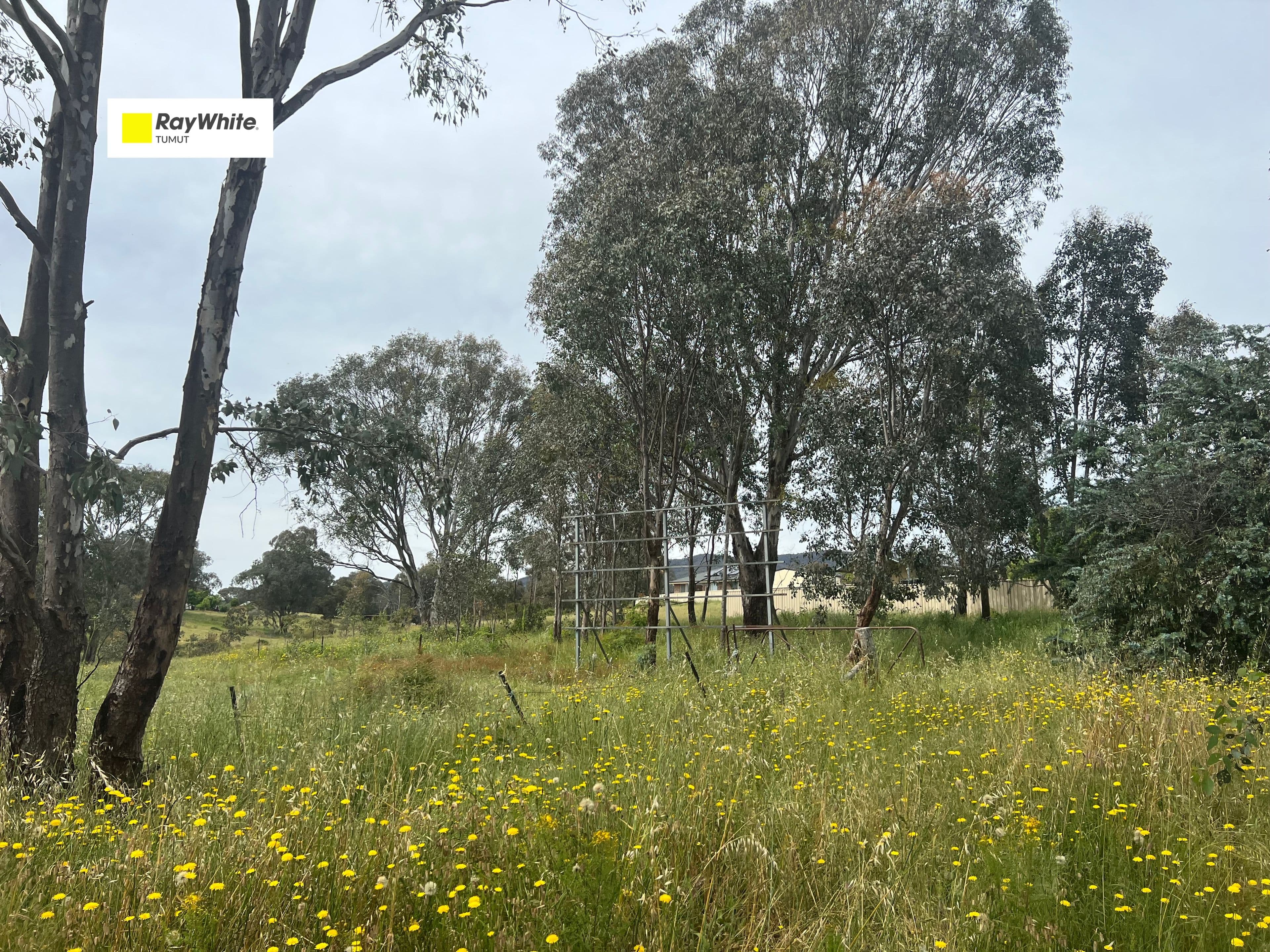 Lot 51 Quandong Avenue, Tumut NSW 2720, Tumut - Image 1