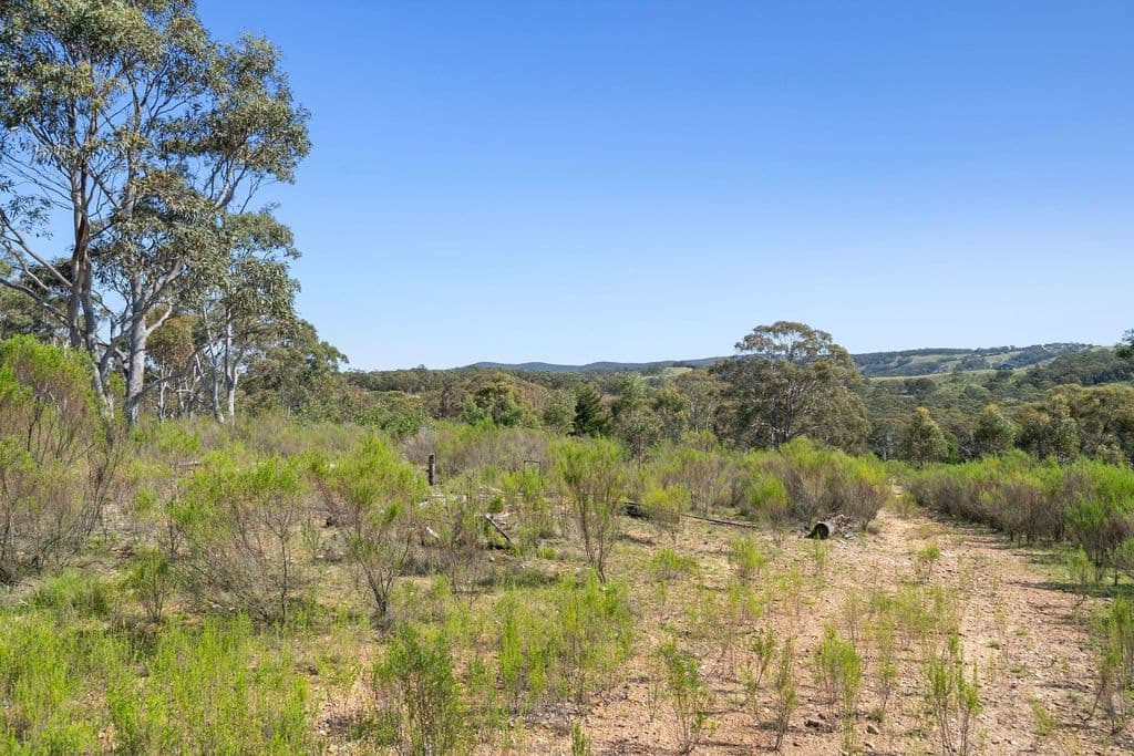 631 Mullins Creek Road, Gurrundah - Image 1