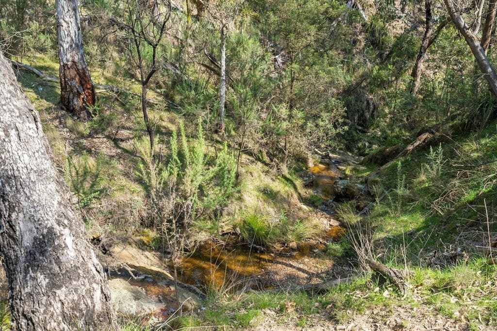 631 Mullins Creek Road, Gurrundah - Thumbnail 3