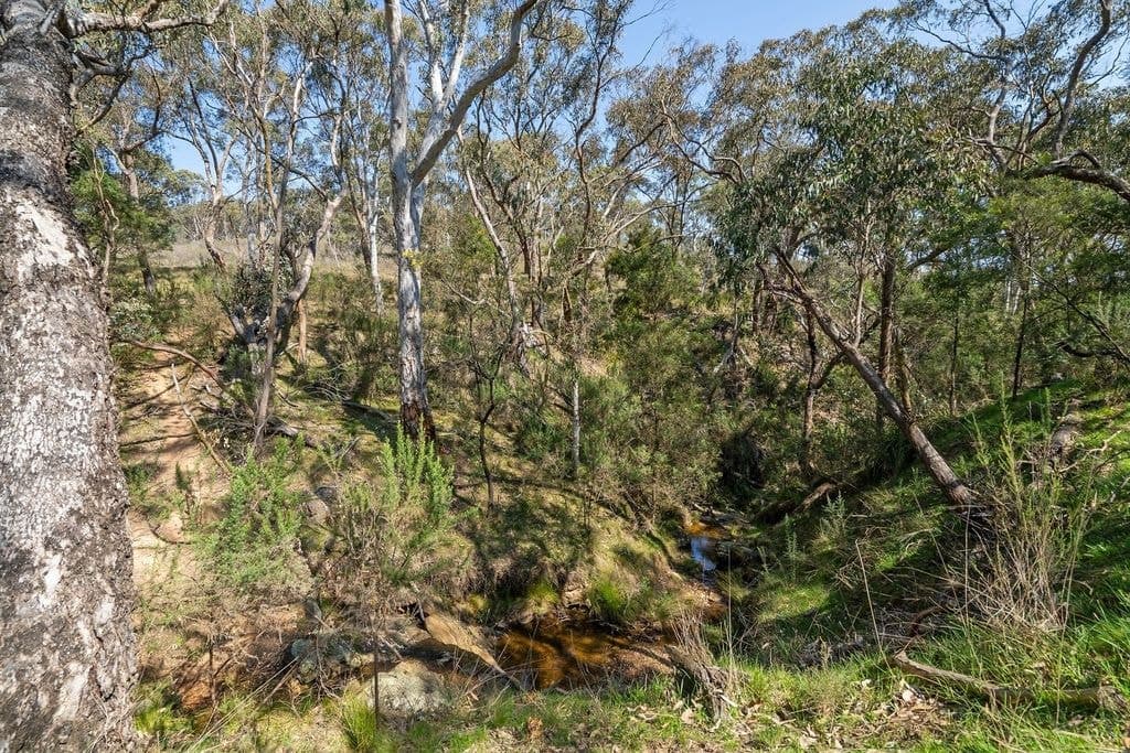 631 Mullins Creek Road, Gurrundah - Thumbnail 5