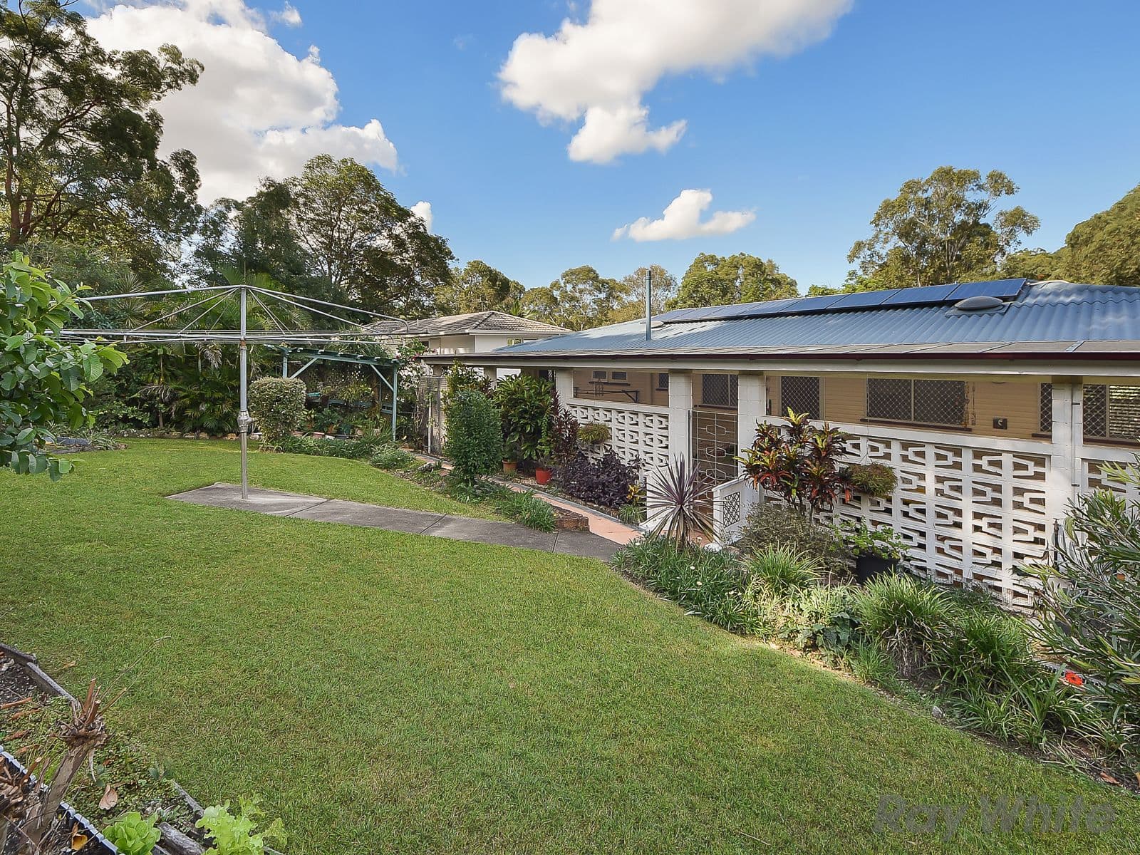 68 Mornington Street, Alderley QLD 4051, Alderley - Thumbnail 5