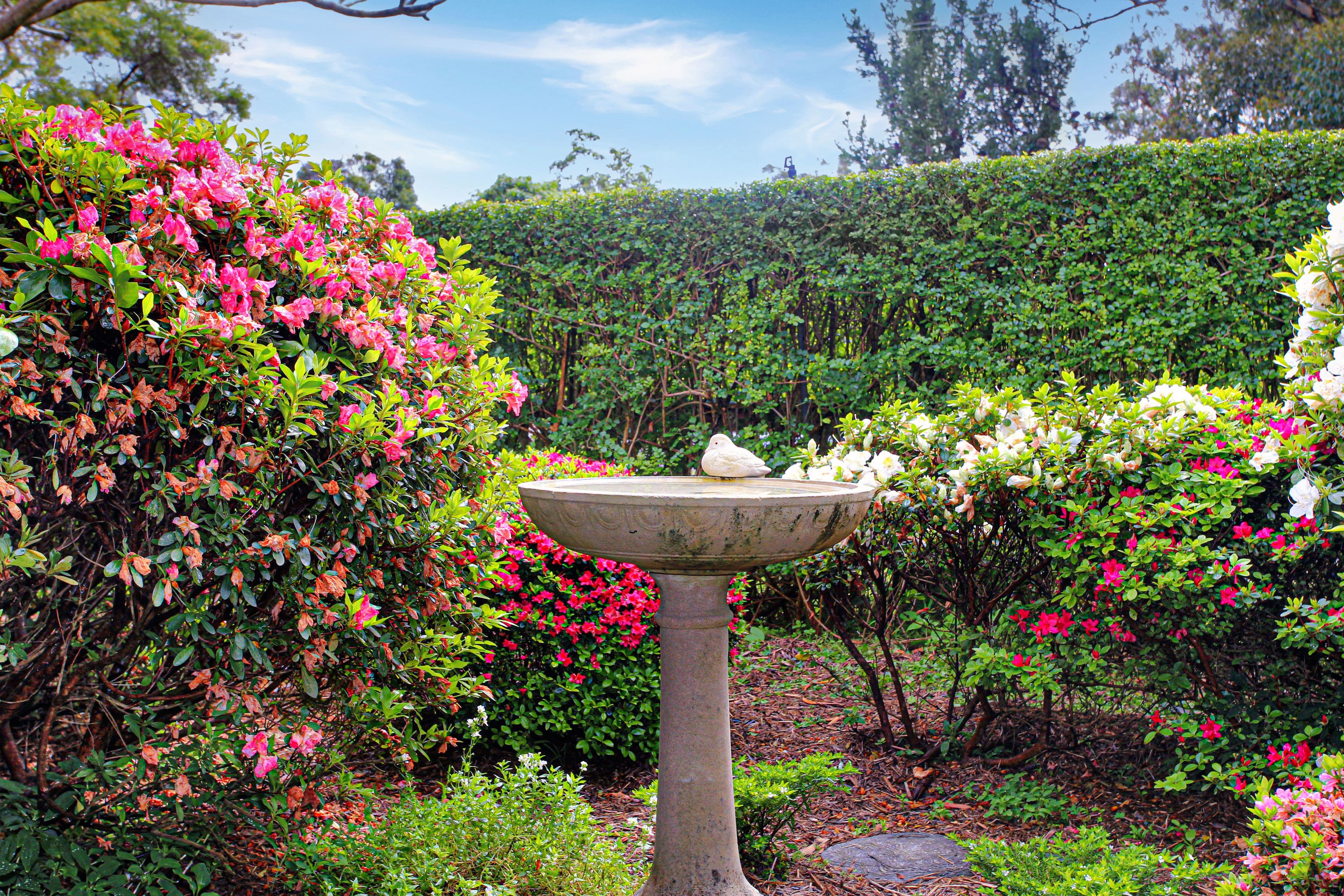 24 Morang Street, Hawks Nest NSW 2324, Hawks Nest - Thumbnail 2
