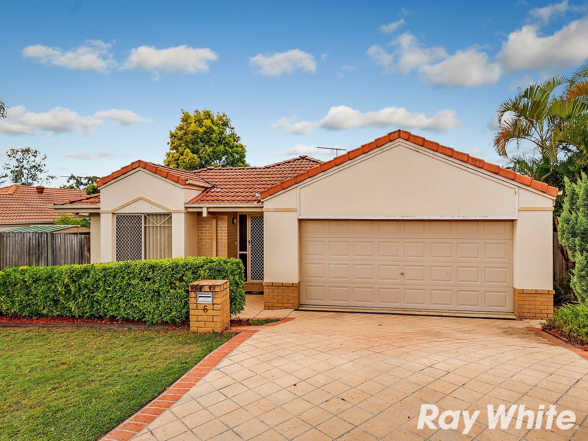 6 Red Pine Court, Calamvale QLD 4116, Calamvale - Image 1