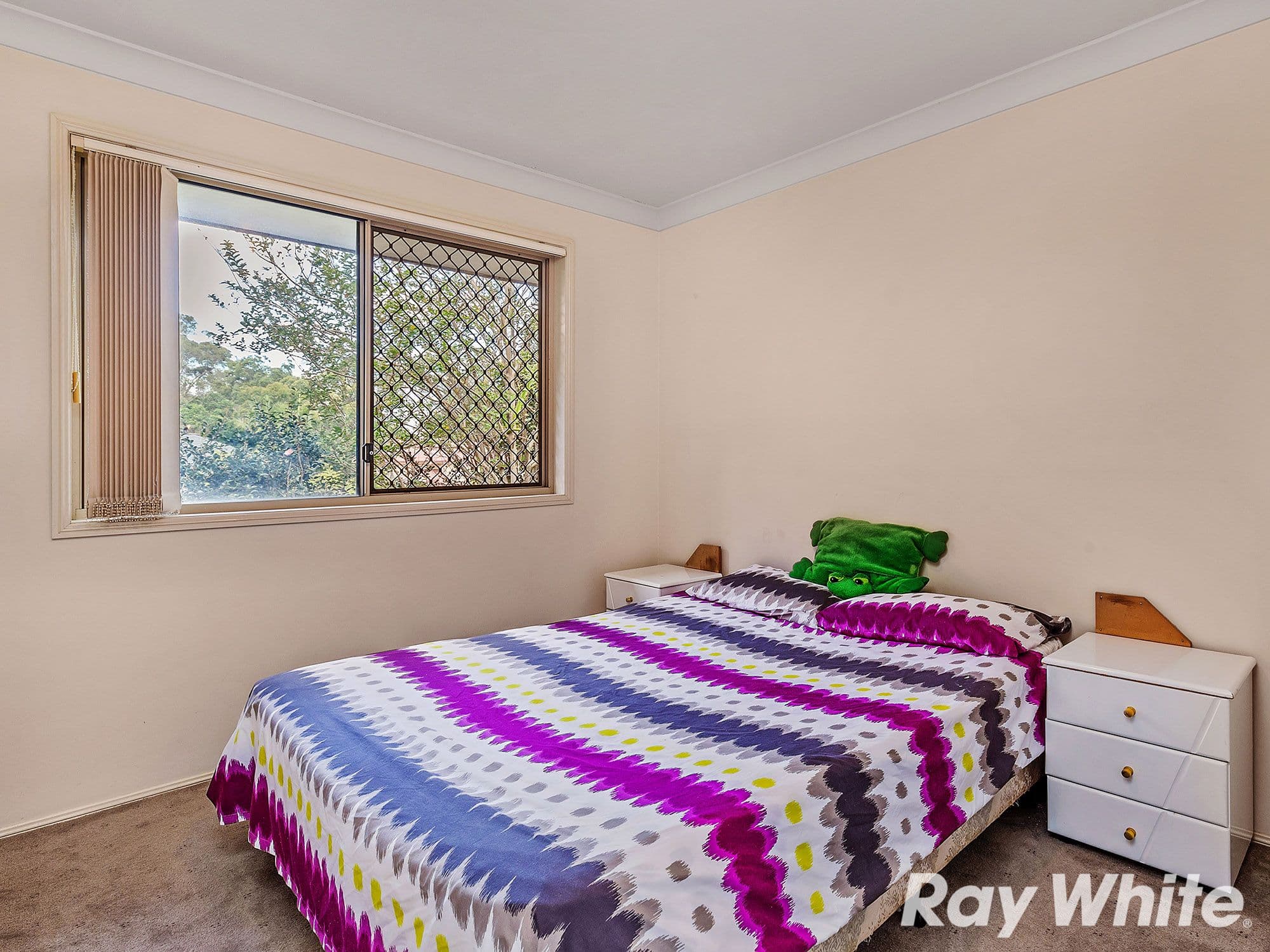 6 Red Pine Court, Calamvale QLD 4116, Calamvale - Thumbnail 8