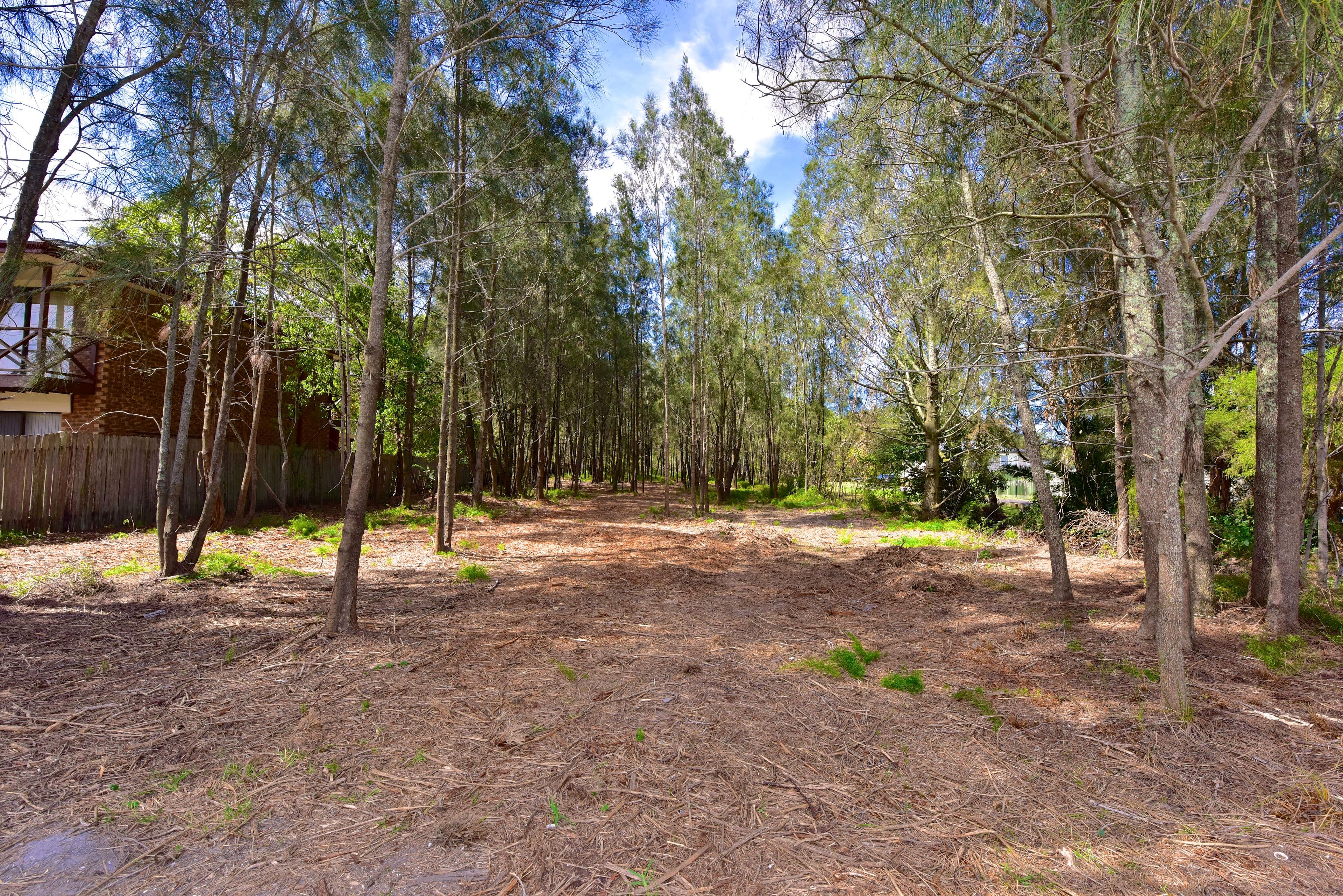 36 Emora Avenue, Davistown NSW 2251, Davistown - Thumbnail 2