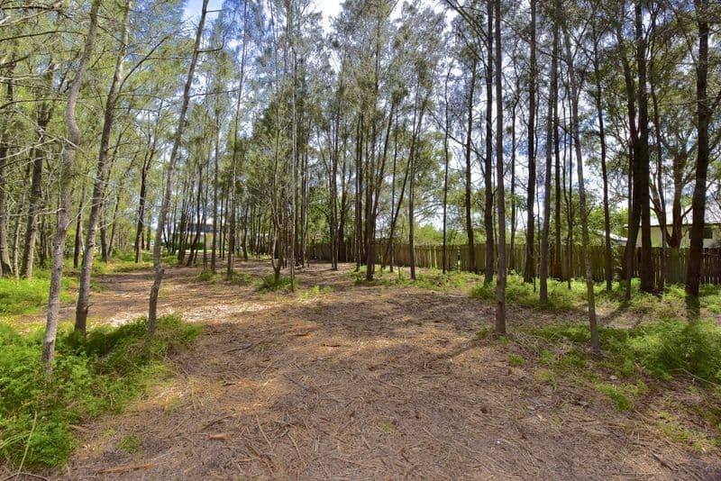 36 Emora Avenue, Davistown NSW 2251, Davistown - Thumbnail 3