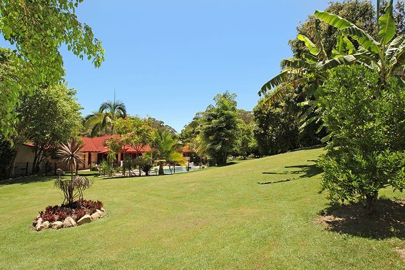 269 Diddillibah Road, Diddillibah QLD 4559, Diddillibah - Thumbnail 3
