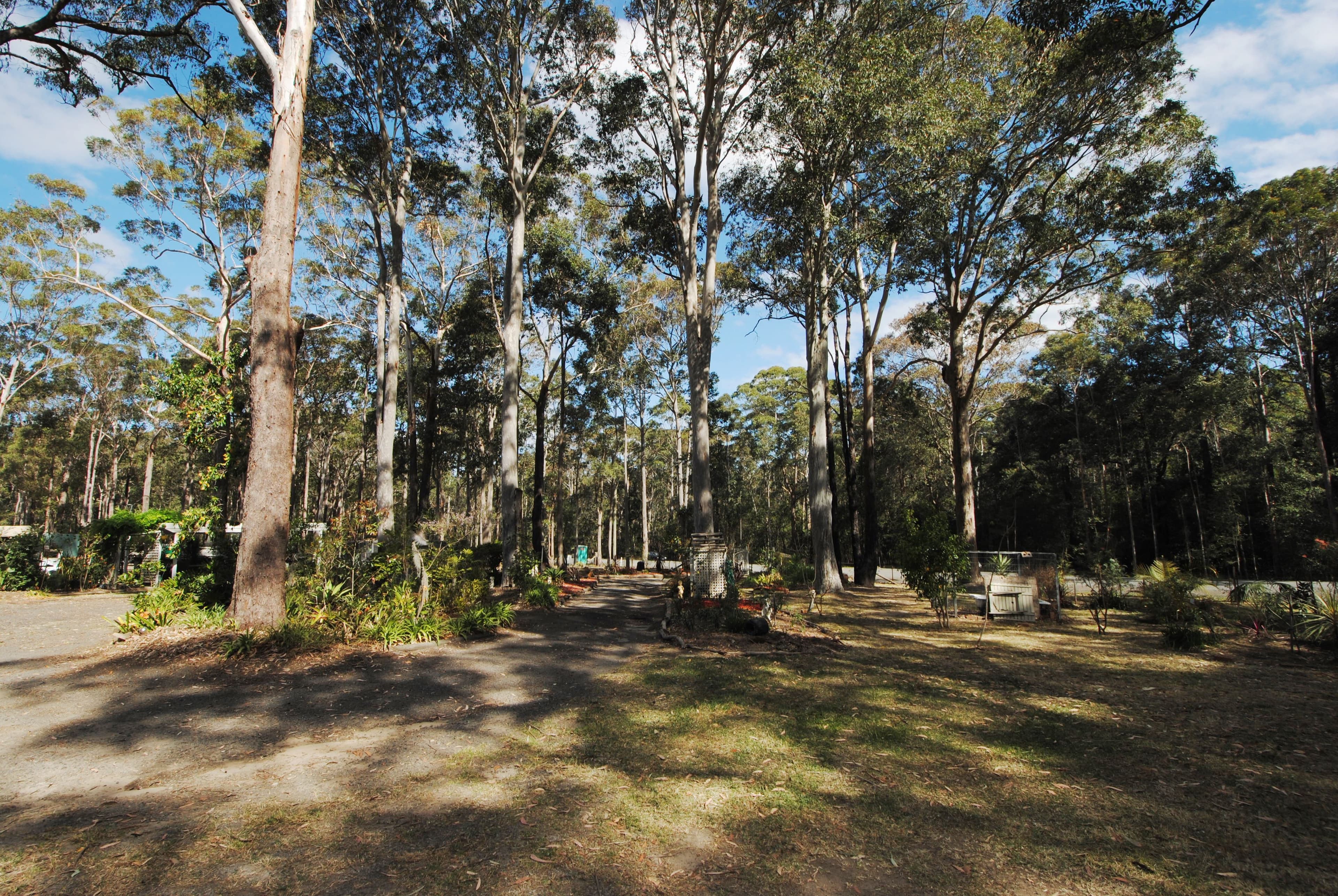 120 Inglewood Crescent, Tomerong - Thumbnail 4