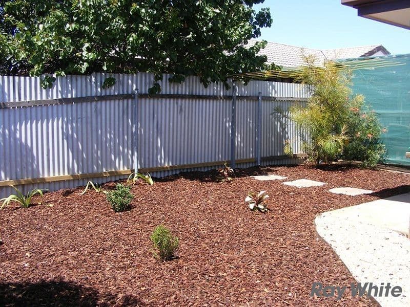 25 Holmes Street, Willaston SA 5118, Willaston - Thumbnail 8