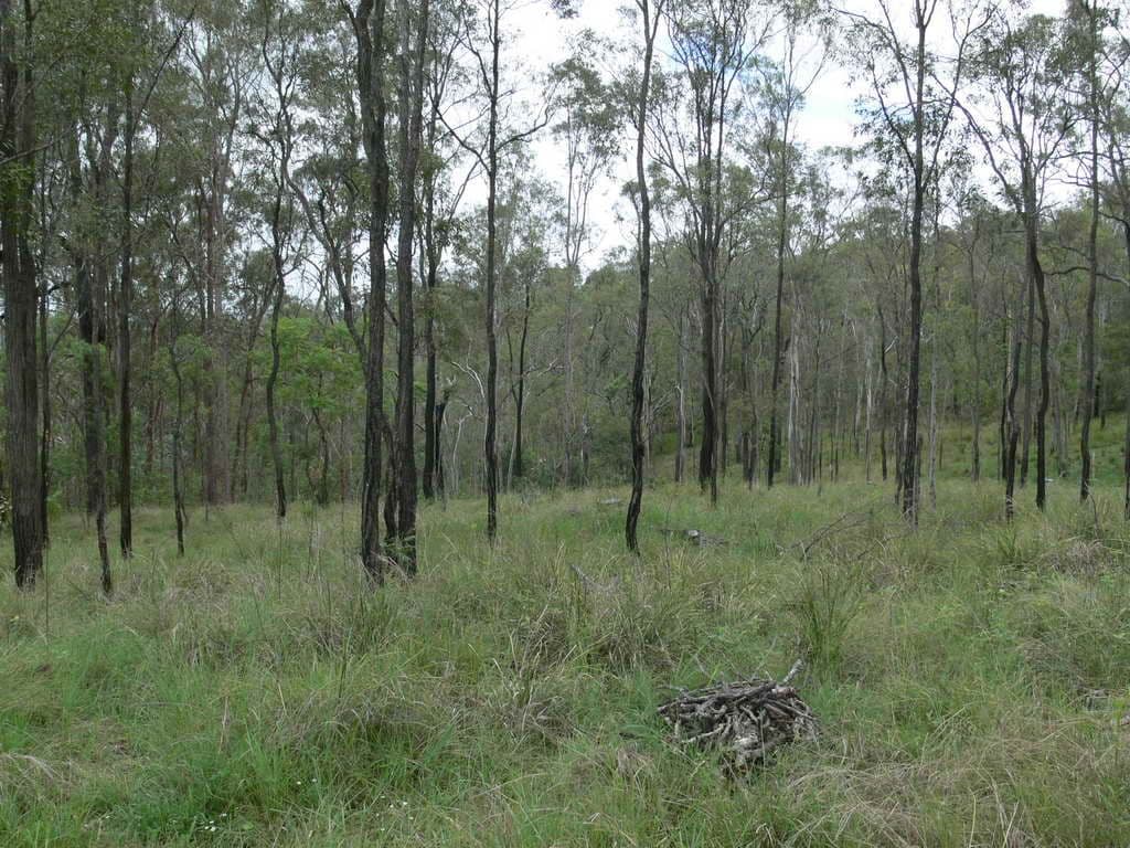 Lot 1 Lakeview Drive, ESK QLD 4312, Esk - Thumbnail 2