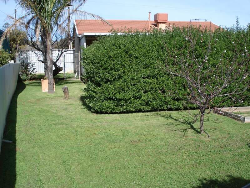 42 Clacton Road, DOVER GARDENS SA 5048, Dover Gardens - Thumbnail 3