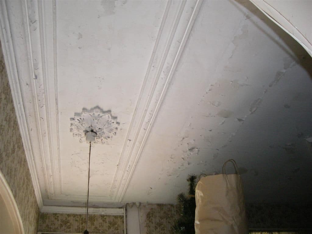 6 MARIA Street, PETERSHAM NSW 2049, Petersham - Thumbnail 4
